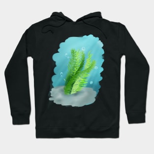 Underwater Kelp Hoodie